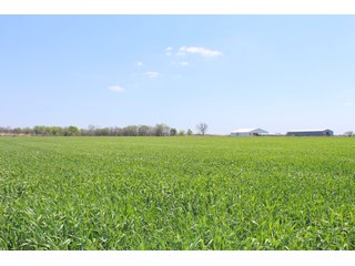 Property photo 21 - OKLAHOMA LAND AUCTION, 550+/- Acres offered in 7 Tracts